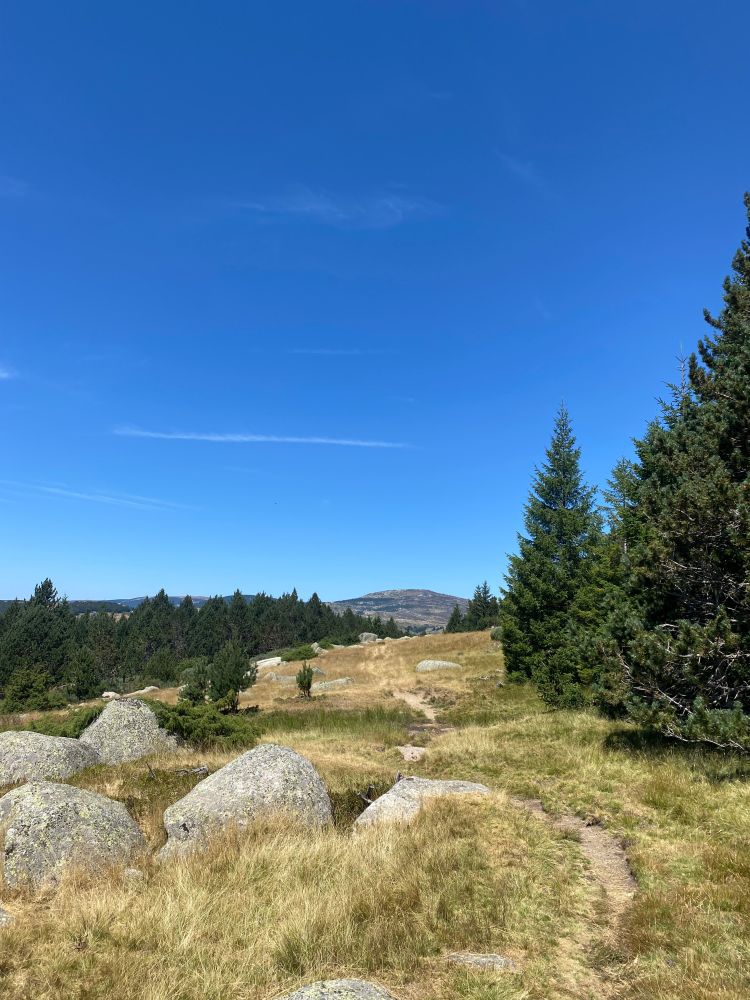 Mont Lozère.