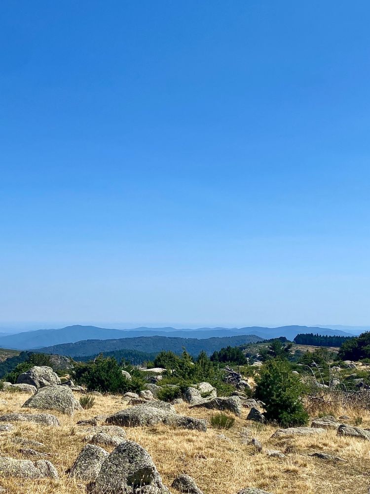 Mont Lozère.