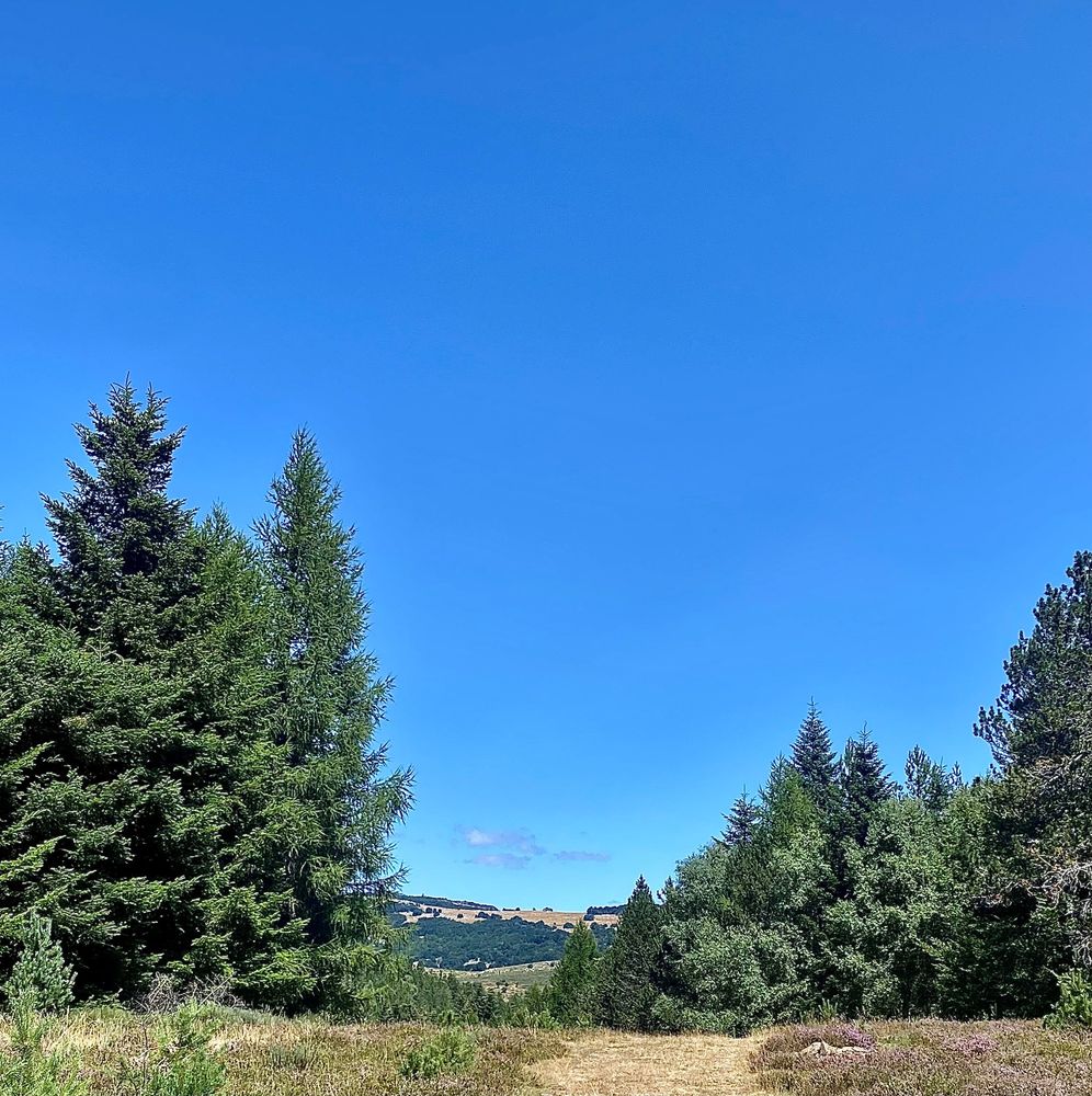 Mont Lozère.