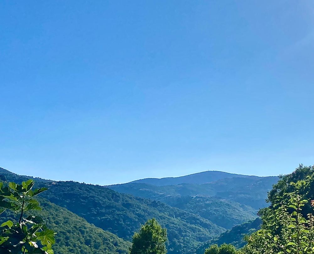 Lozère.