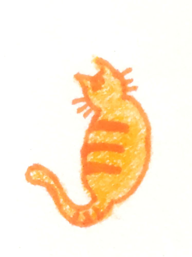 an orange cat