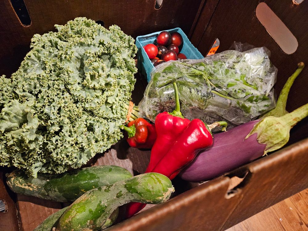 A box with kale, cherry tomatoes, bagged salad greens, eggplant, Carmen peppers, and cucumbers.