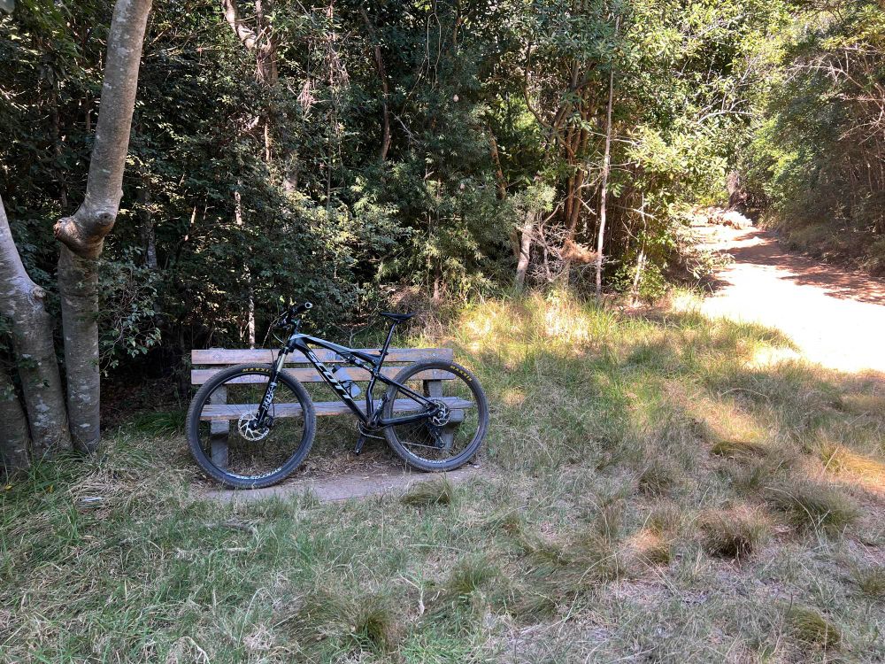 Mountain bike resting against a bench in Afro-Montane forest