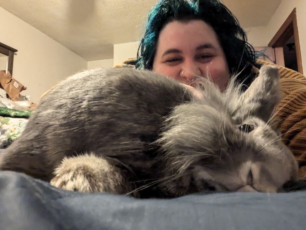 my gray rabbit Lefty looking particularly stupid