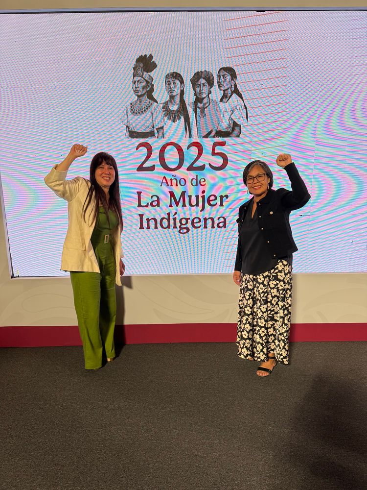 MP Gazan and MP Lori Idlout pose in front of an image depicting four Indigenous women above the words “2025: Anõ de La Mujer Indígena.”