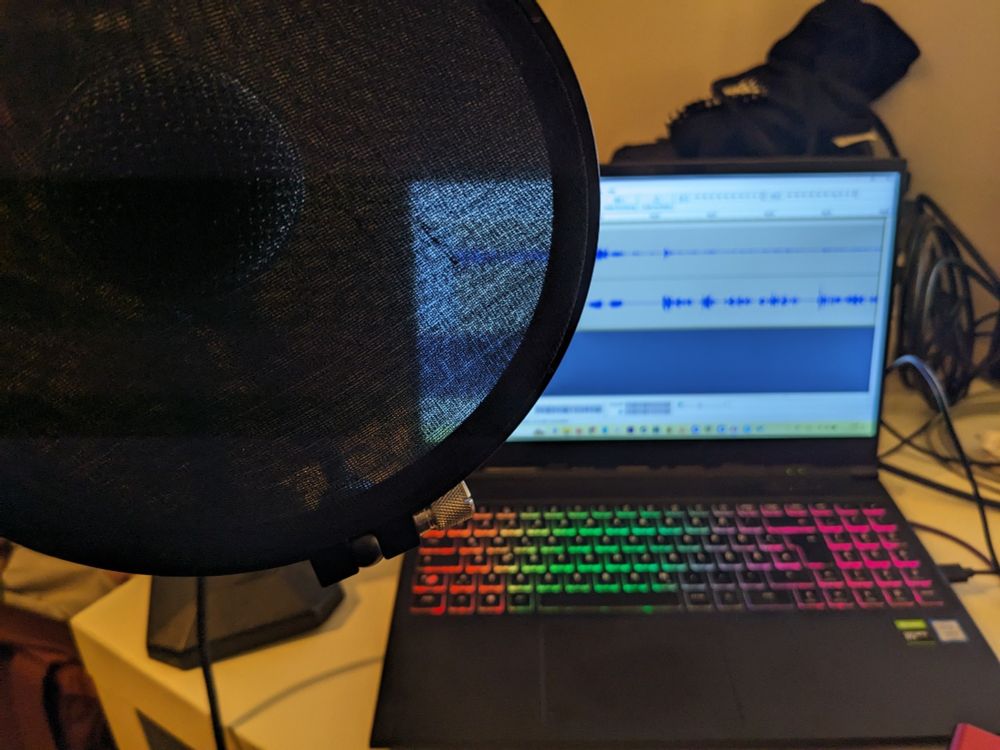 Mikrofon mit Popp-Schutz (höhö), dahinter ein Computer mit Audacity