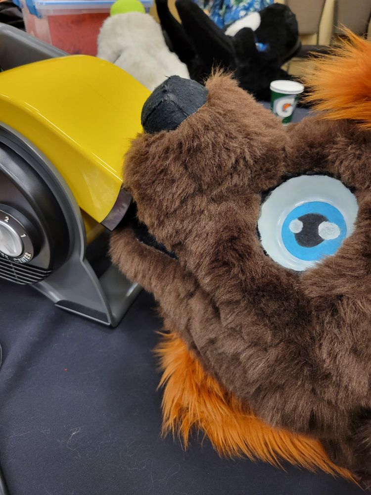 Jack's fursuit head taking a fucken sip from an industrial fan