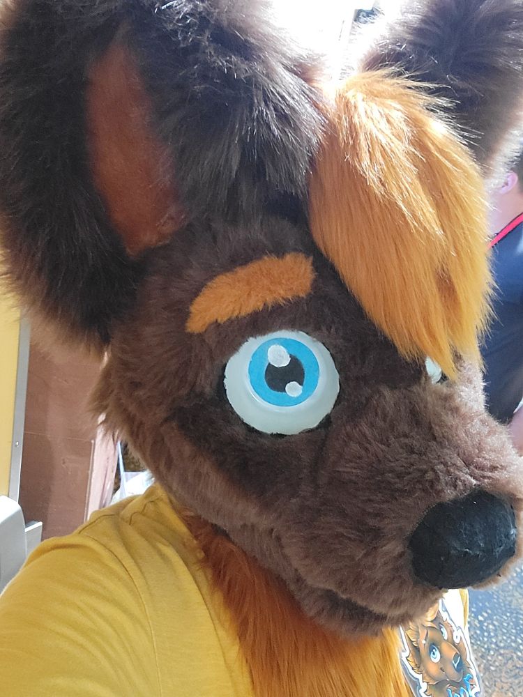 Selfie of myself in fursuit