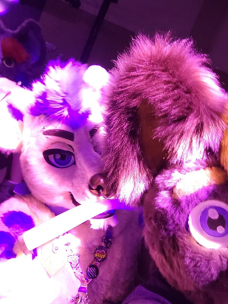 Me and Kottas at the furry rave in fursuit!
