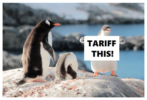 There are 3 penguins in the pictures. One adult is grooming,the other adult is is looking at their offspring.  The baby is large but has underdeveloped flippers and a great back coat... and is standing arms outstretched and facing the camera. The flippers are curled in at the ends, perfect for holding an anti-tRUMP sign.  

I changed my original rude slogan to "TARIFF THIS!"