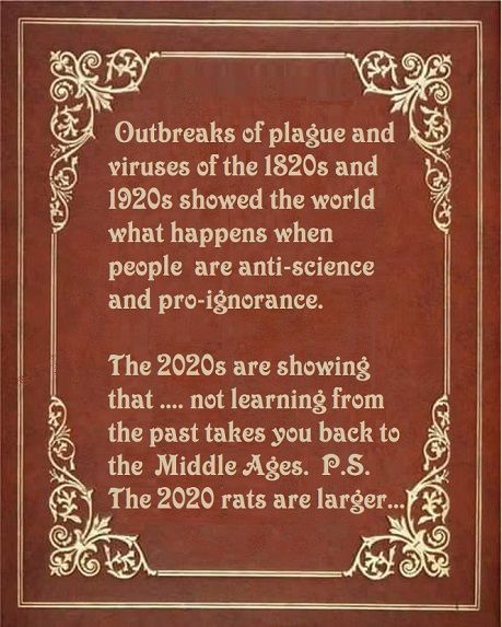 On a fake book cover, brown fake leather with fake gold filigree in each corner: Outbreaks of plague and viruses of the 1820s and 1920s showed the world what happens when people are anti-science and pro-ignorance. The 2020s are showing that ... not learning from the past takes you back to the Middle Ages. P.S. The 2020 rats are larger...
