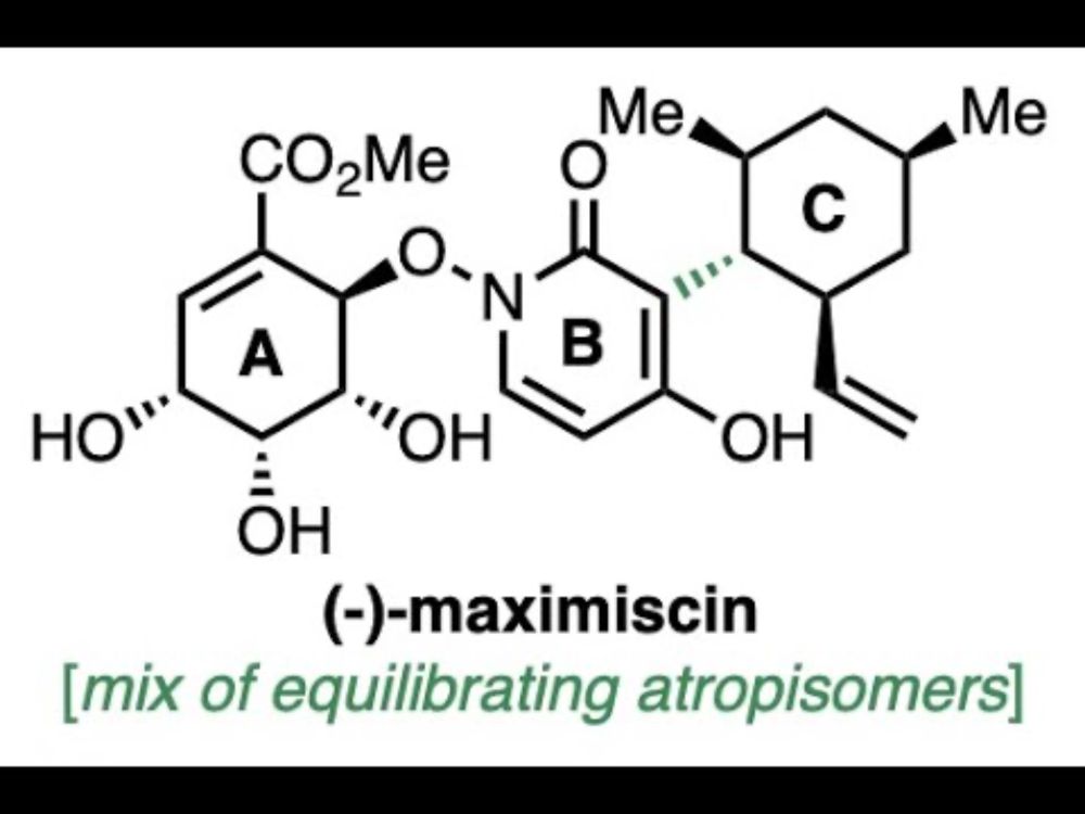 Total Synthesis of Maximiscin, A Natural Product with Anticancer Properties