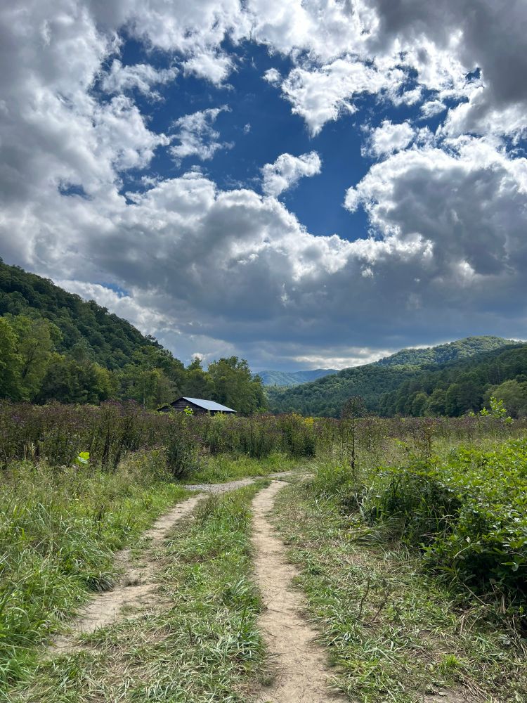 A photo of Cataloochee Valley in Great Smoky Mountains National Park, showing two dirt tracks heading into a meadow, with mountains visible in the background and the top of an old barn. 