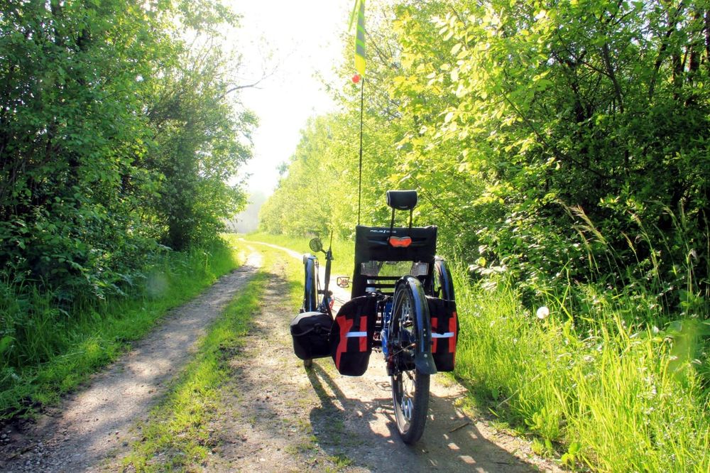 Liegedreirad von hinten gesehen an einem sonnigen Tag auf einem Feldweg. Links und rechts wachsen Büsche und Bäume.
