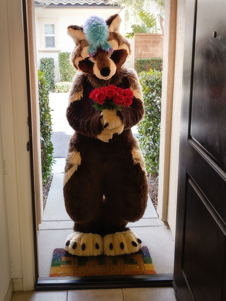 Satchel in fursuit, standing in an open doorway and holding a bouquet of red roses. He looks shy and nervous into the camera.