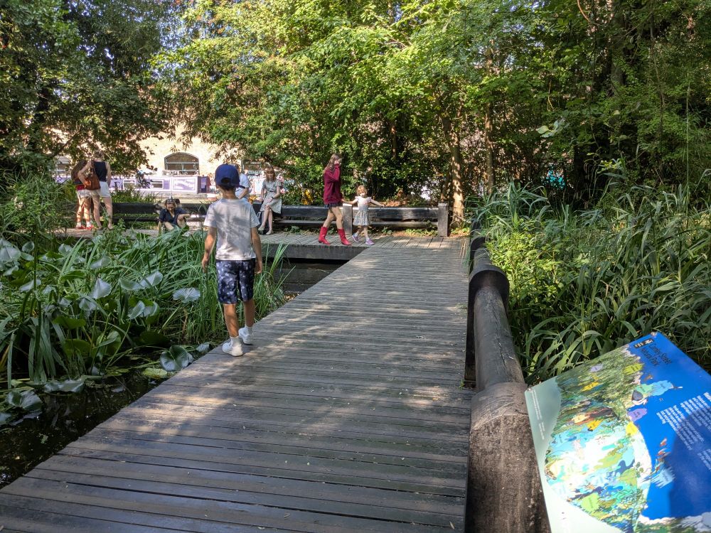 Im Camley Street National Park, drei Minuten vom Bahnhof St Pancras entfernt 