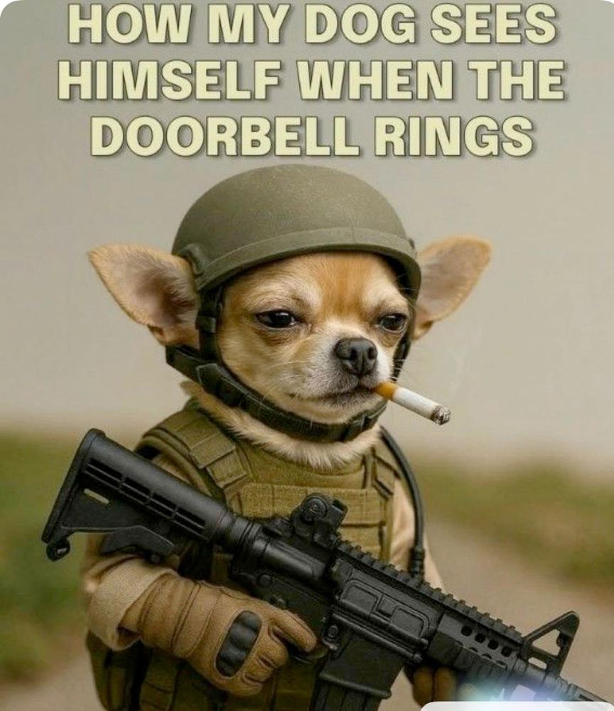 fuk ice fuk the criminal felon squatting in our white house