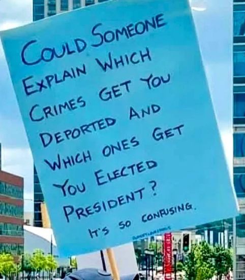 We have a convicted criminal felon squatting in our White House!