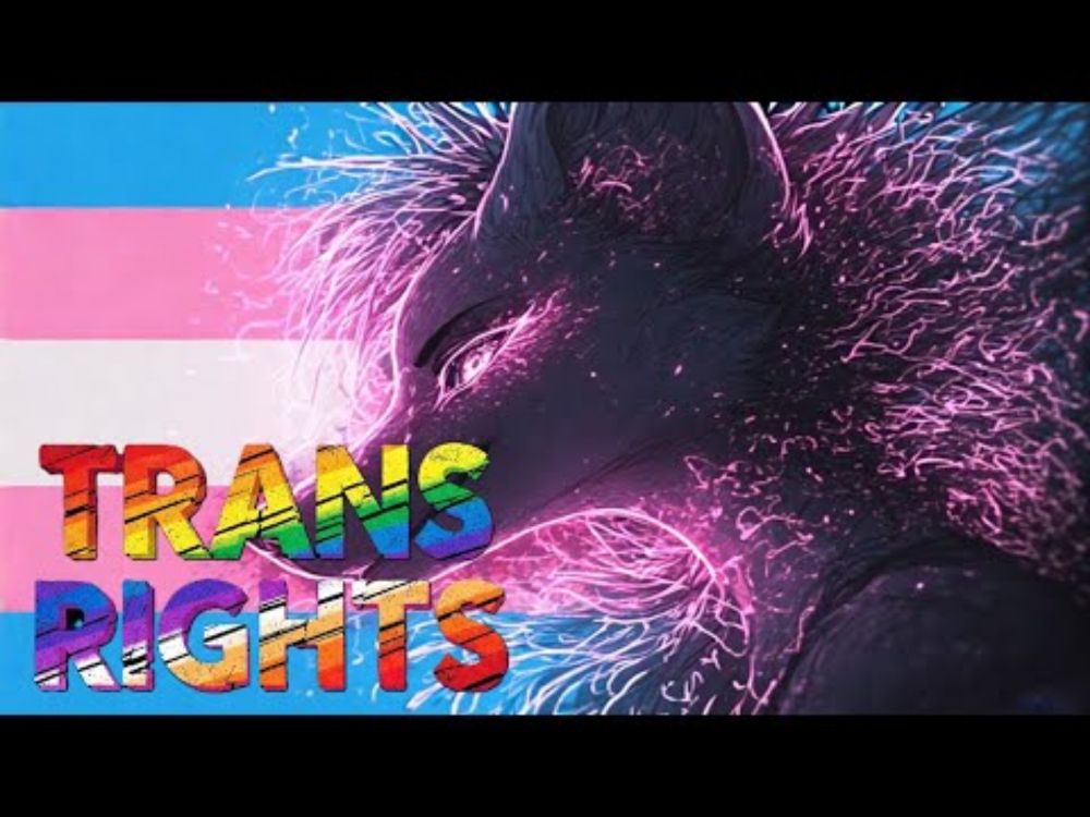 TRANS RIGHTS - KrimsonTheFox