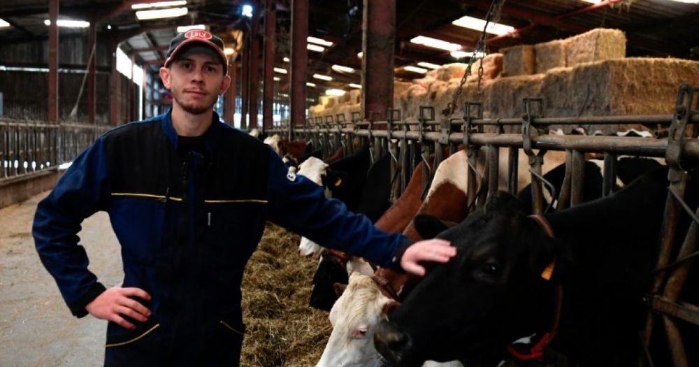 Dans les Vosges, le désarroi de producteurs laitiers face au retrait de Lactalis