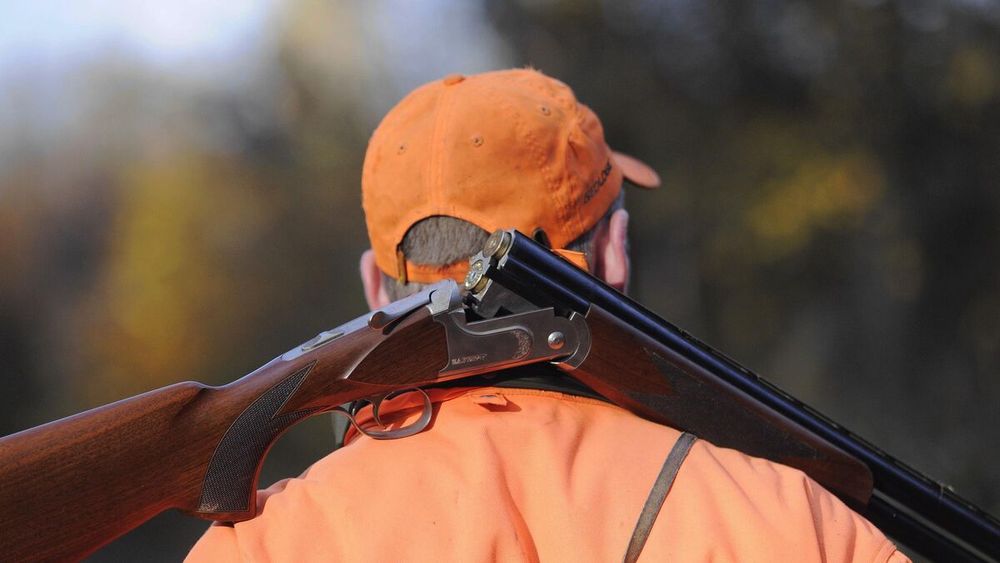 Un chasseur tué d’une balle à la tête lors d’une battue aux sangliers dans la Loire