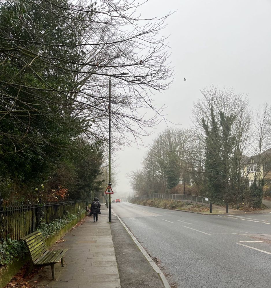 A street on a misty day 