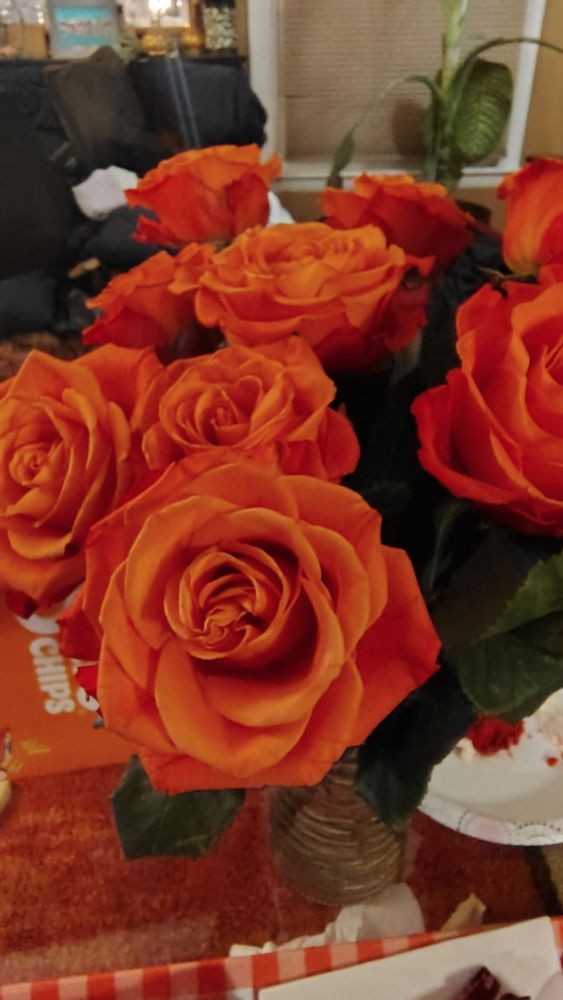 Orange roses