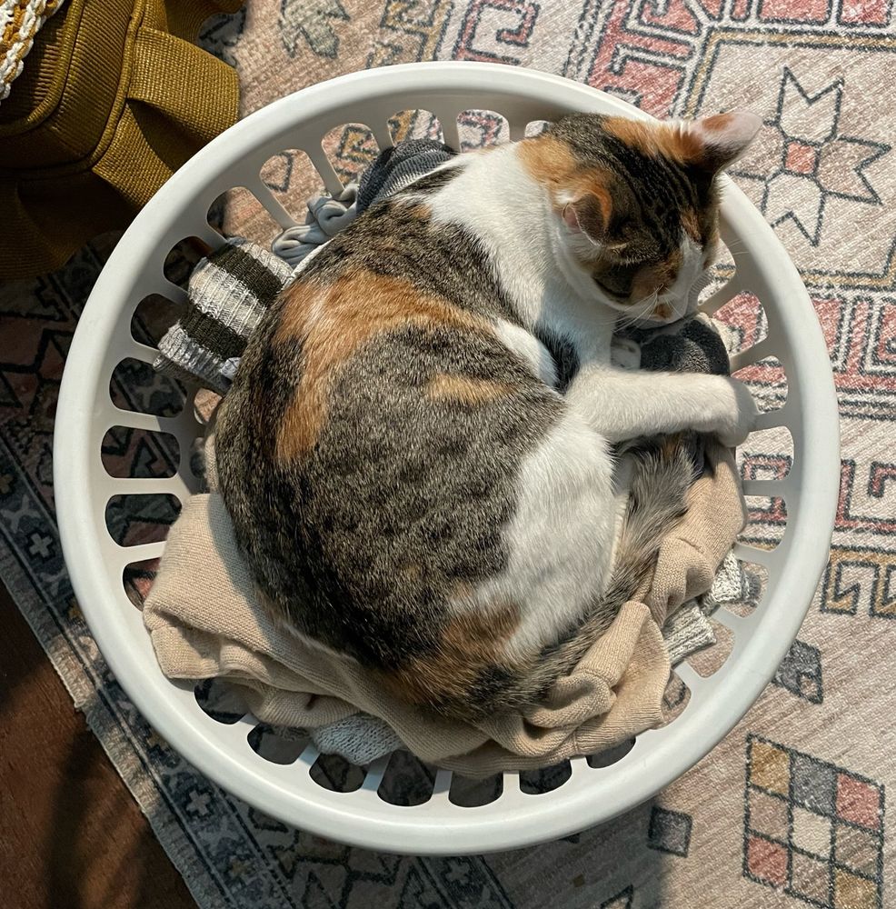 A photo of a white, gray, and orange tabico cat sleeping on top of a full laundry basket