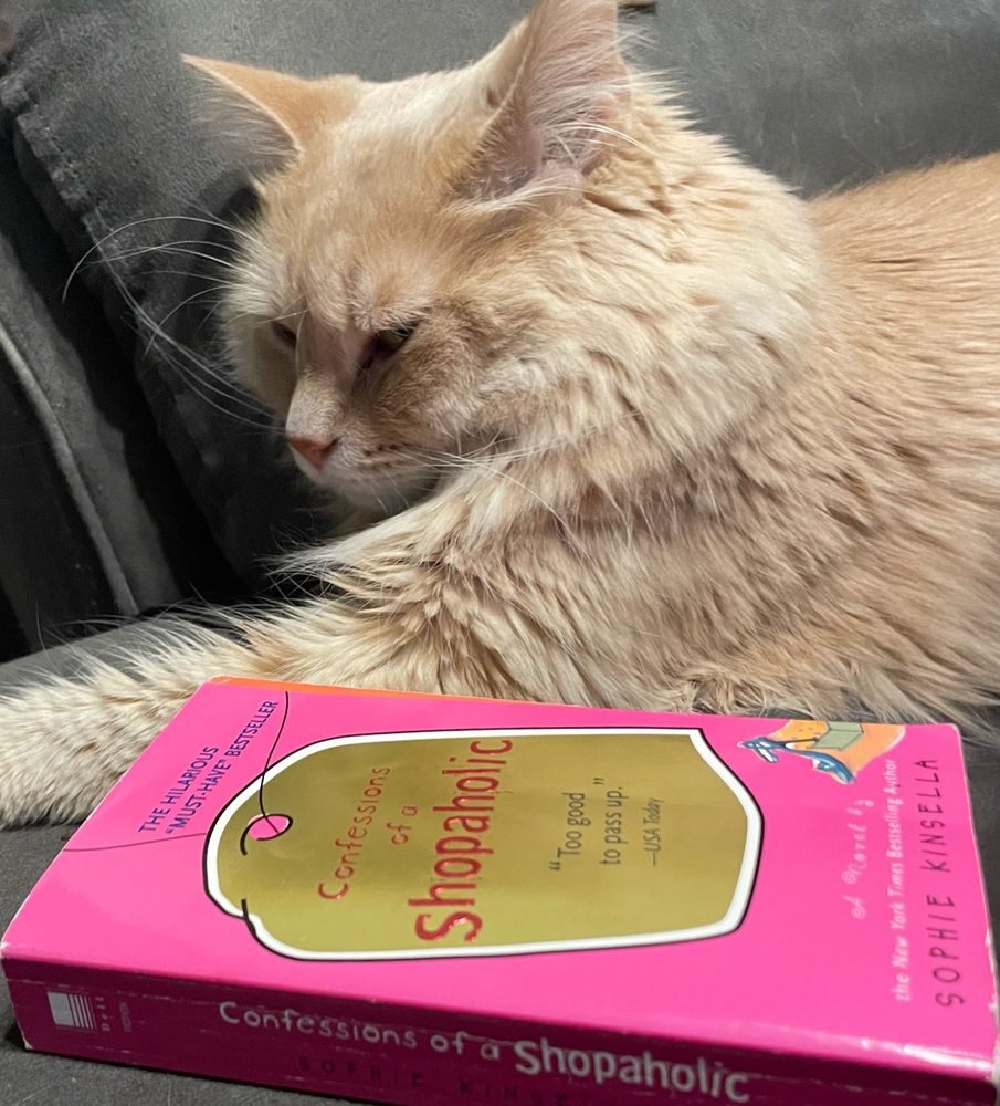 very furry orange cat laying on a couch with an outstretched arm next to a copy of the book "Confessions of a Shopaholic" that has a pink cover and a gold price tag on the front 