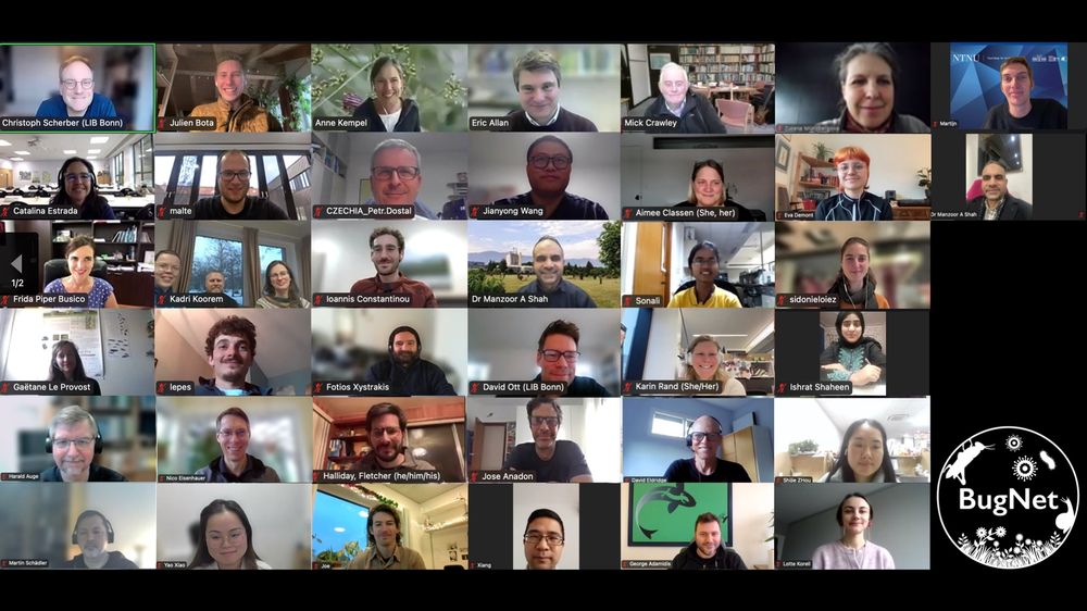 Zoom meeting screenshot with all the BugNet collaborators