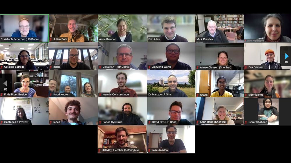 Zoom screen with the participants of the BugNet meeting