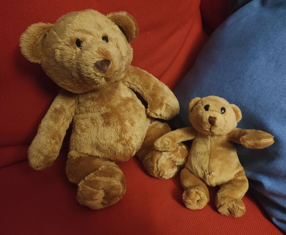 2 normal but differently sized bear plushies