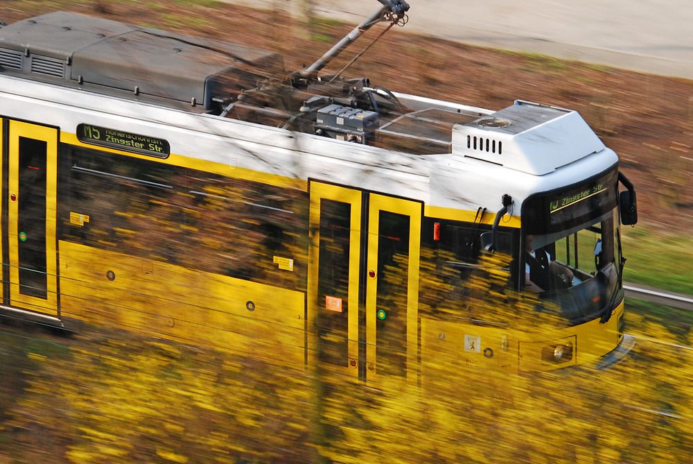 Das Bild zeigt eine gelbe Straßenbahn der Linie M5 in Bewegung, die in Richtung "Zingster Str." fährt. Die Bahn ist teilweise von gelb-blühenden Büschen verdeckt, was einen verschwommenen Effekt im Vordergrund erzeugt. Die Perspektive scheint von oben aufgenommen zu sein, wodurch der Dachbereich der Straßenbahn gut sichtbar ist.
