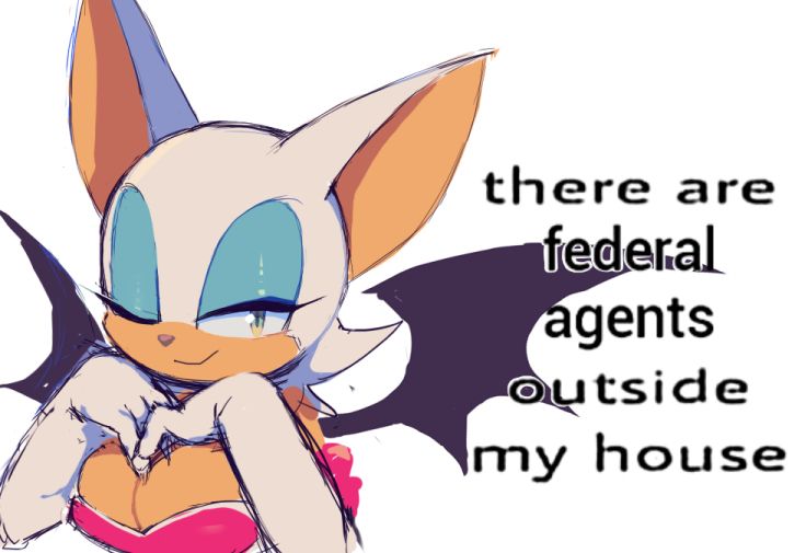 Rouge the Bat smiling, with text on the side that reads: "there are federal agents outside my house"