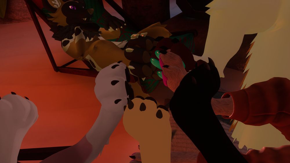 A group of six paws