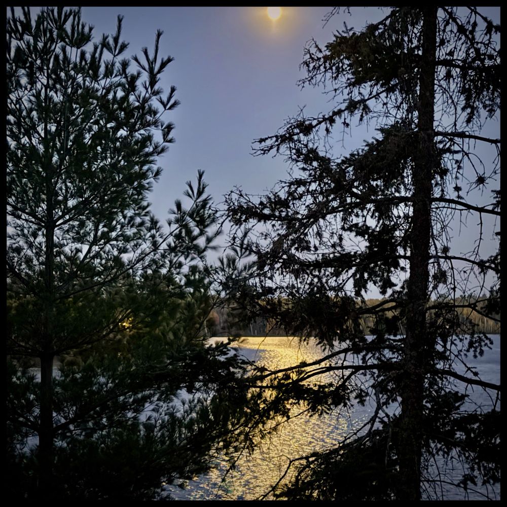 Twilight photo where a bright, golden moon glow shimmers on the rippled surface of a lake contrasts with the dark, jagged silhouettes of pine and spruce trees