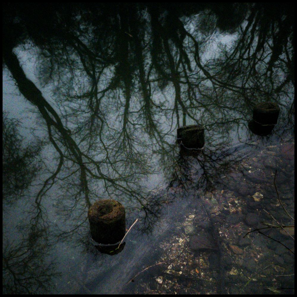 Trees reflected in the water of a canal in the evening light.