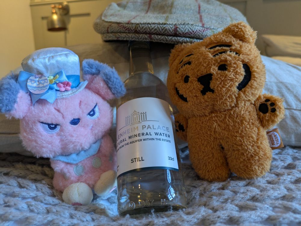 Fleur de Pup and Mimi enjoying fine hotel amenities 