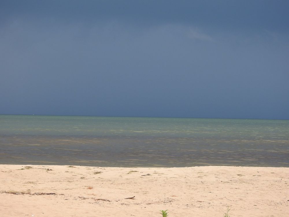 A sandy beach in the foreground, water in various shades of browns and greens, and a very dark grey sky with an incoming storm on the top.