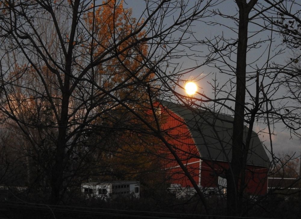 Seen through a tangle of tree limbs, the full moon is rising just above the rooftop of a large red barn.