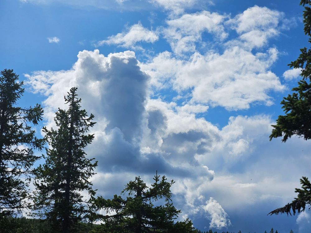 More dramatic tall cloud skies with trees in foreground 