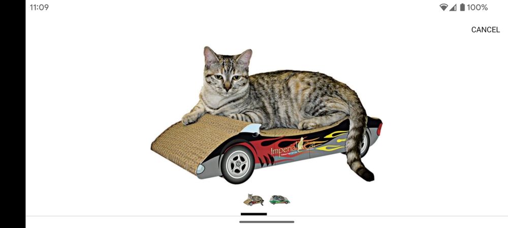 A cat lying on a cardboard scratch pad with pictures on the side to make it look like a car.