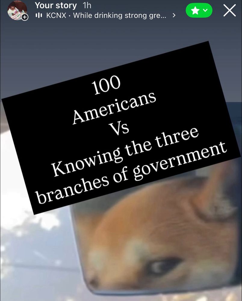 Shiba Inu in a car giving side eye in a rear view mirror with the text “100 Americans vs knowing the three branches of government” covering the top of its head