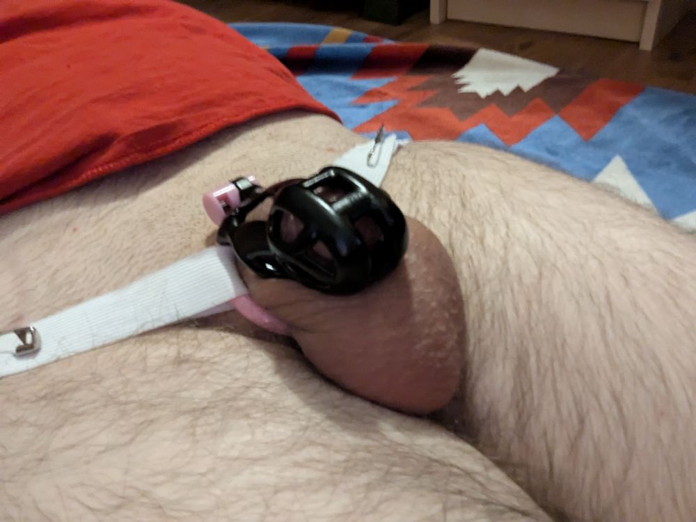 a chastity cage