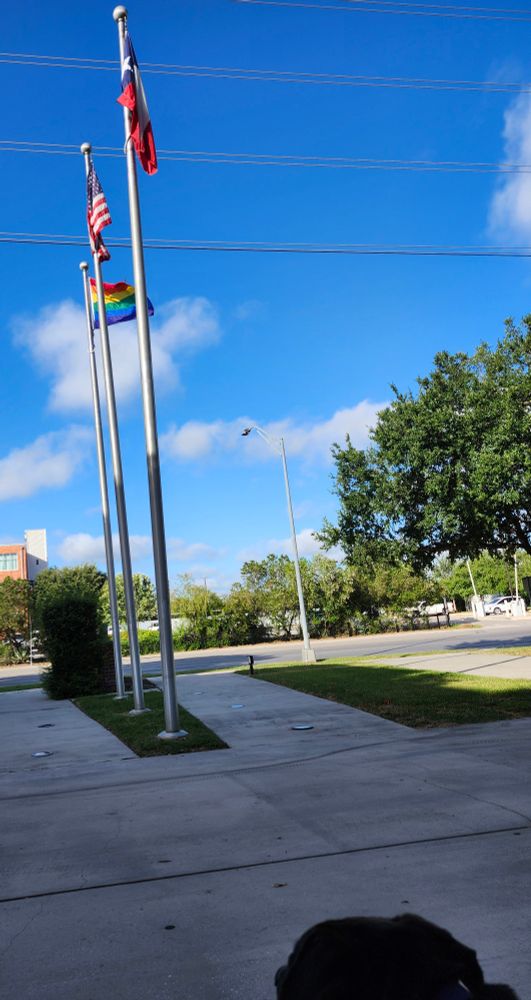 Pride flag in front of a city government bldg. My doggo's noggin at lower left.