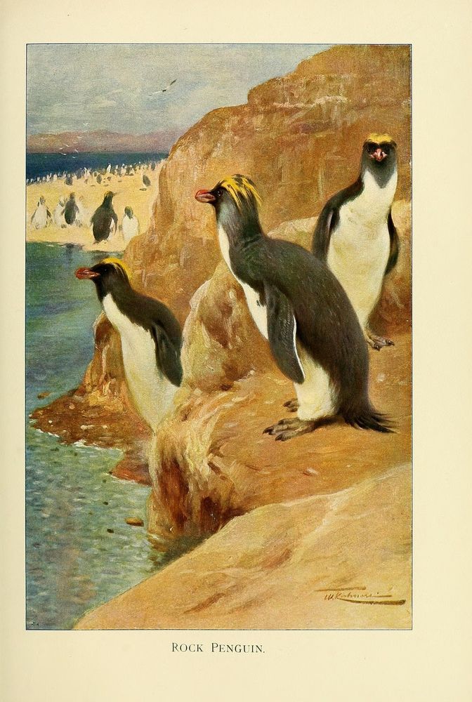 Wild life of the world: 
London ;F. Warne and co., 1916.
http://biodiversitylibrary.org/page/33270528�