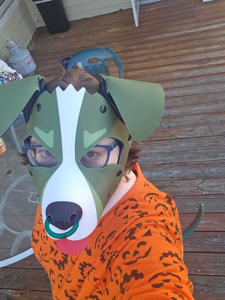 fern pup with Halloween shirt