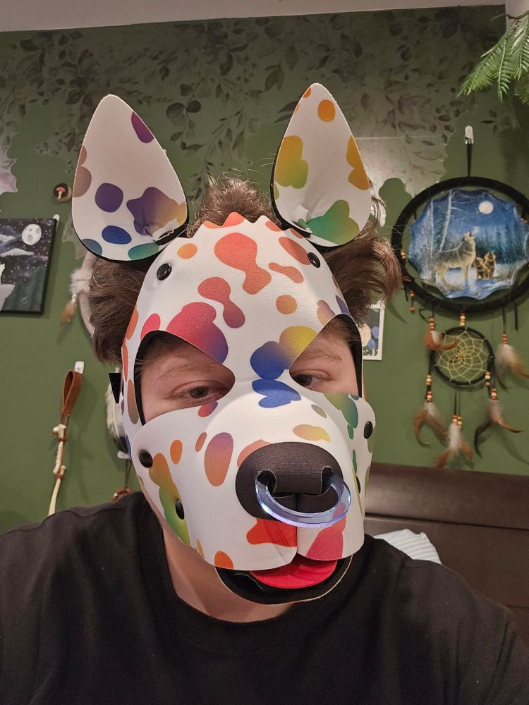 rainbow spots white pup hood with blue nose ring