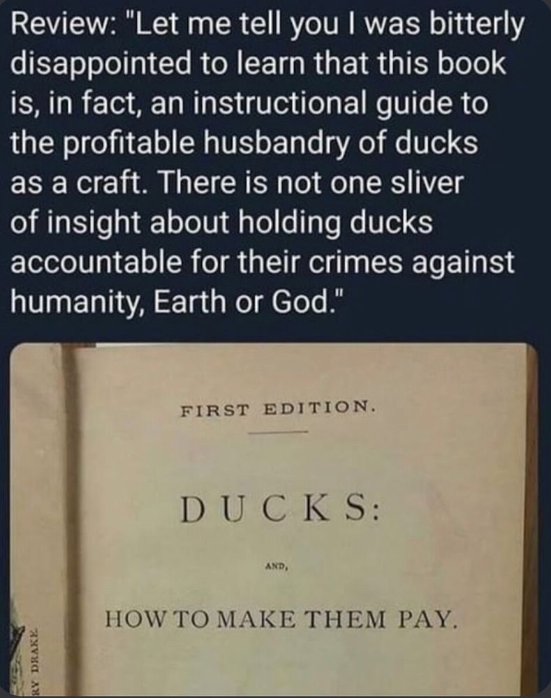 picture is the title page of a book entitled “Ducks: and, How To Make Them Pay.” The comment above the photo says “Review: Let me tell you I was bitterly disappointed to learn that this book is, in fact, an instructional guide to the profitable husbandry of ducks as a craft. There is not one sliver of insight about holding ducks accountable for their crimes against humanity, Earth, or God.”