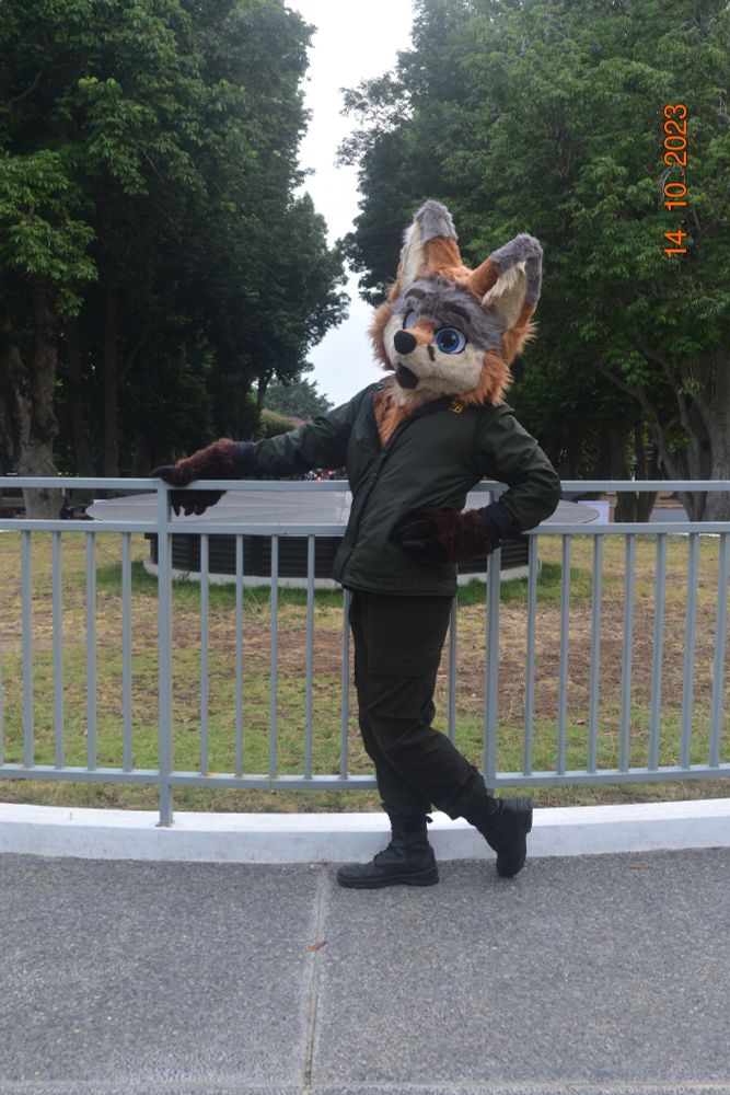 A person wearing a fursuit